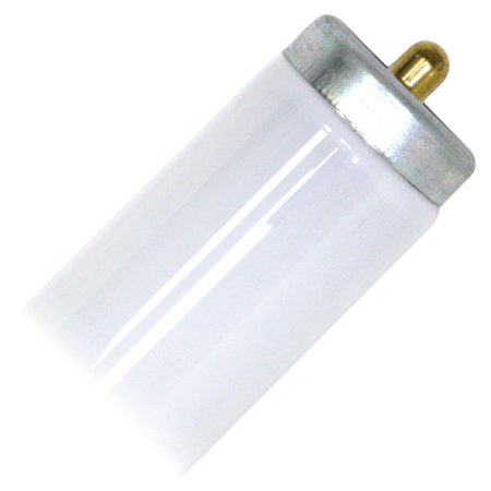 - Philips 363218 - F48T12/CW ALTO Straight T12 Fluorescent Tube Light Bulb