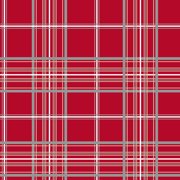 plaid fabric