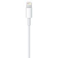 Lightning to USB Cable (1m)