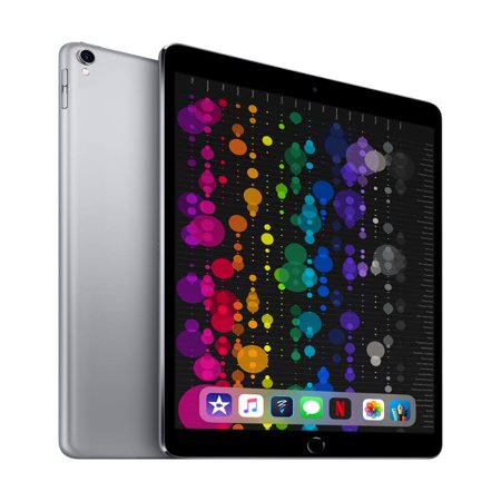 Apple 10.5-inch iPad Pro Wi-Fi 256GB Space Gray (Best Price On Ipad Pro 10.5 256gb)