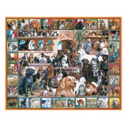 1000 Piece Jigsaw Puzzles - 