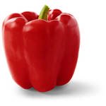 Red Bell Pepper
