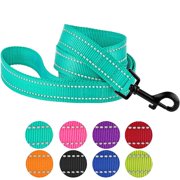 Reflective Dog Leash Safety Nylon Leashes for Medium Dogs Heavy Duty Lead, Mint Green