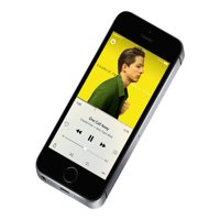 Straight Talk Apple iPhone SE 16GB Prepaid Smartphone, Gray