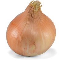 Yellow Onions, each