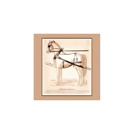 Chicago Truck Harness - Chicago Truck Harness Print (Unframed Paper Print 20x30)