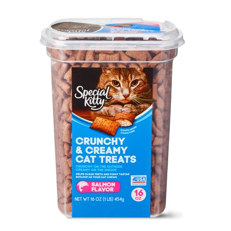 Kitty Treats Cookbook - Special Kitty Crunchy & Creamy Cat Treats, Salmon Flavor, 16 oz