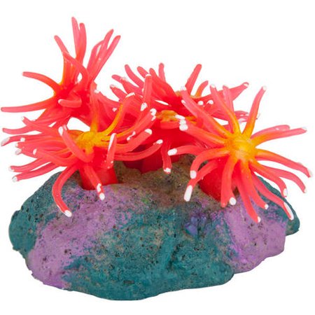 Finding Fish - AquaGarden Anemone Fish and Aquatic Pet Aquarium Accessories