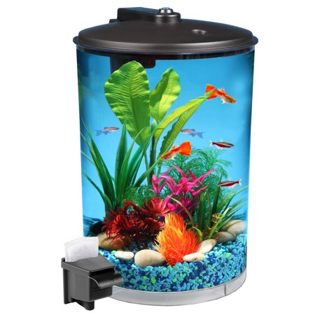 Hawkeye 3-Gallon 360 View Aquarium Kit with LED Lighting and Filtration ...