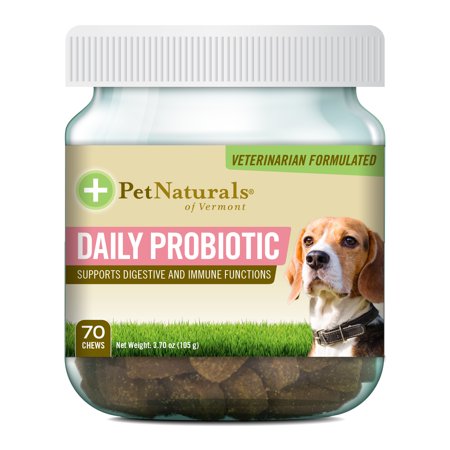 Pet Naturals of Vermont Daily Probiotic for Dogs, Digestive Health Supplement, 70 Bite-Sized (Pet Naturals Daily Best)