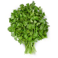 Cilantro, 1 Bunch