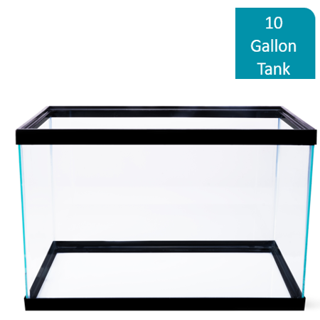 Aqua Culture 10-Gallon Glass Aquarium (Best Fish For Bowl)