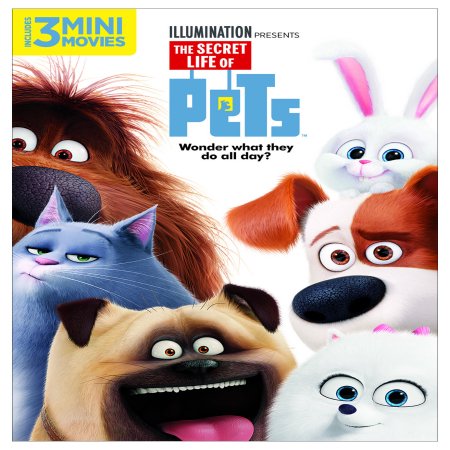 The Secret Life Of Pets (DVD) - Walmart.com