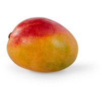 Mangoes, each