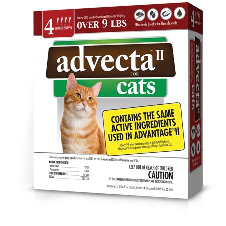 Advecta II Flea Treatment for Large Cat, 4 Monthly