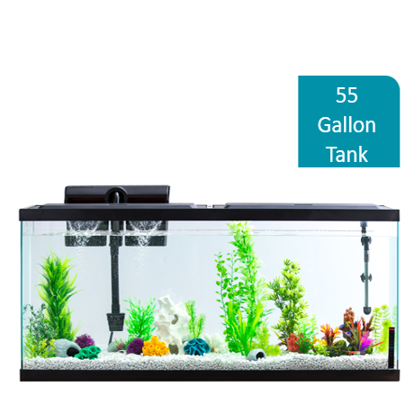 Aqua Culture 55-Gallon Aquarium Starter Kit With LED
