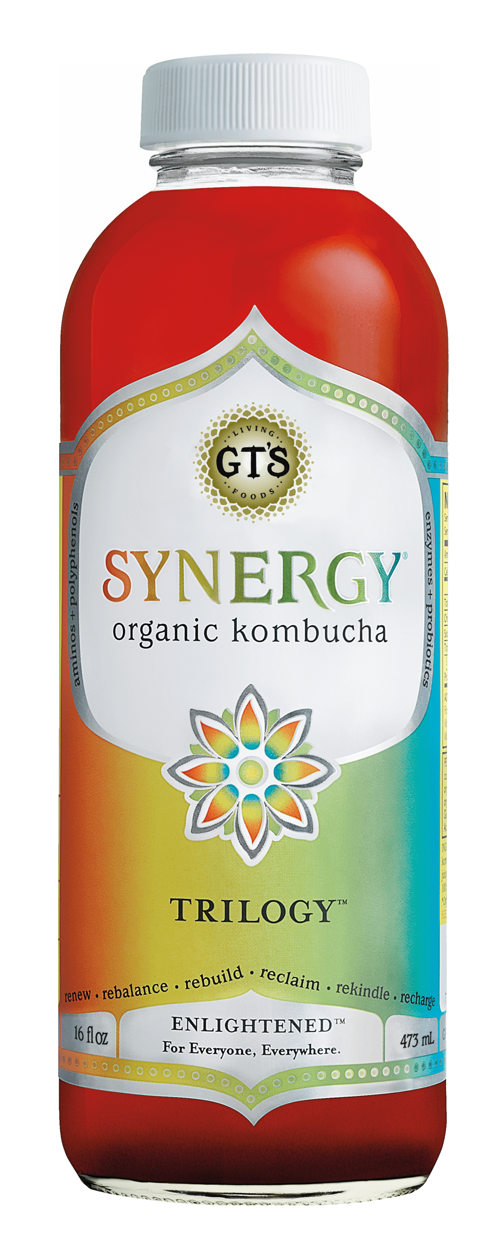 synergy raw kombucha benefits