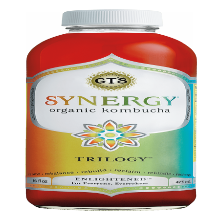 GT'S Synergy Trilogy Kombucha Drink Organic & Raw, 16 Fl Oz - Walmart.com