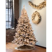 Gki Bethlehem Lighting Christmas Trees Gki Bethlehem Lighting Christmas Trees