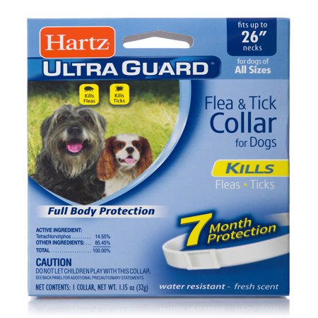 Hartz UltraGuard Flea and Tick Collar for Large (Best No Slip Dog Collar)