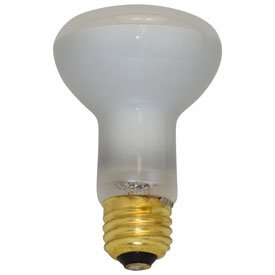 120v Philips Lamps - Replacement for PHILIPS 30R20/LL 120V replacement light bulb lamp