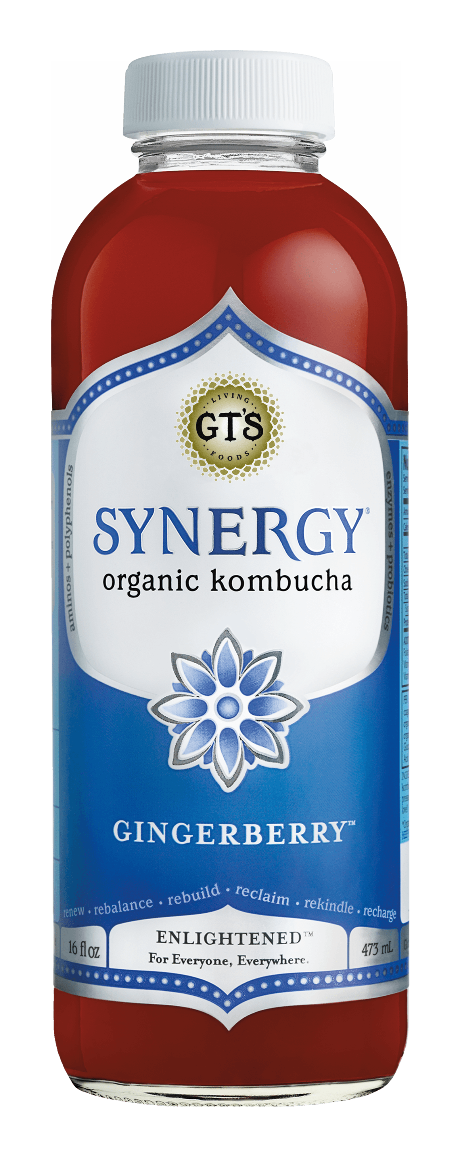 synergy raw kombucha para que sirve