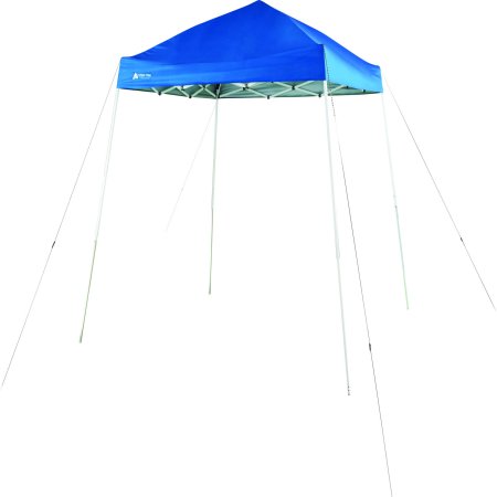 Ozark Trail 10' x 10' Slant Leg Canopy (Best Easy Up Canopy)