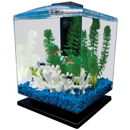 Tetra 1.5-Gallon Cube Aquarium Starter Kit - Walmart.com