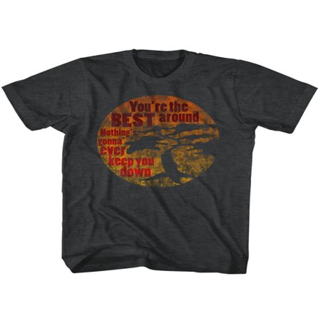 Karate Kid You'Re The Best Adult T-Shirt Tee