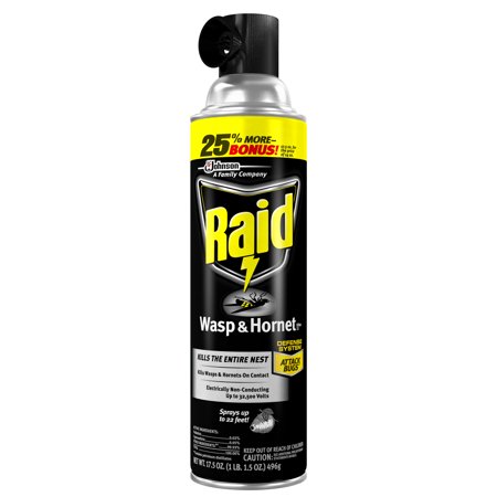 Raid Wasp & Hornet Killer 33, 17.5 oz (Best Wasp Killer Spray)