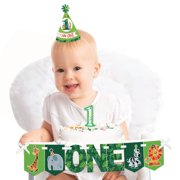 1st birthday boy