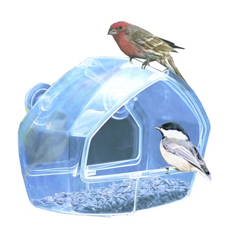 Perky Pet Clear Window Feeder