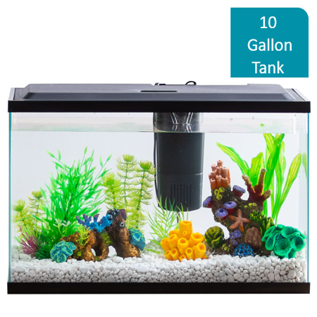 Aqua Culture 10-Gallon Aquarium Starter Kit With LED