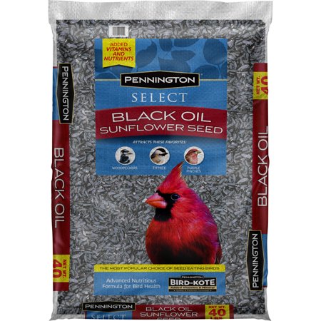 Pennington Select Black Oil Sunflower Seed Wild Bird Seed, 40 Lbs ...