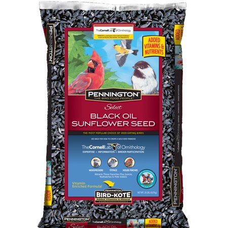 Pennington Select Black Oil Sunflower Seed Wild Bird Feed, 20