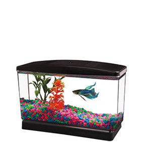fish walmart com
