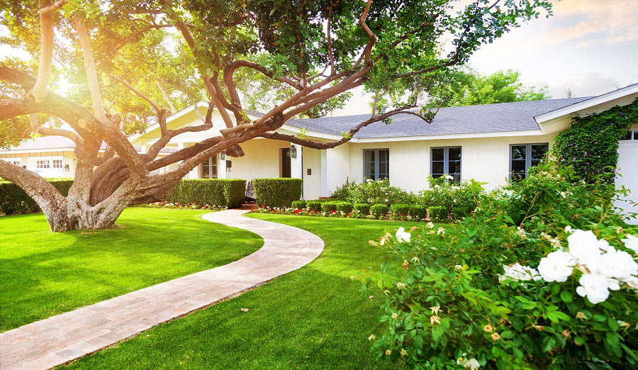 garden center walmart com lawn landscape pictures