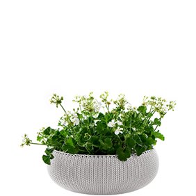 Garden Center - Walmart.com